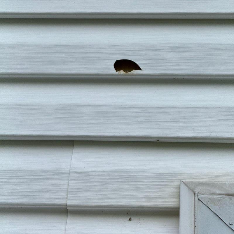 Vinyl siding with puncture hole near corner trim