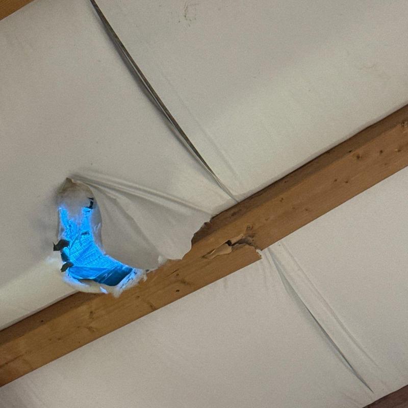 Ceiling insulation tear and wooden beam damage