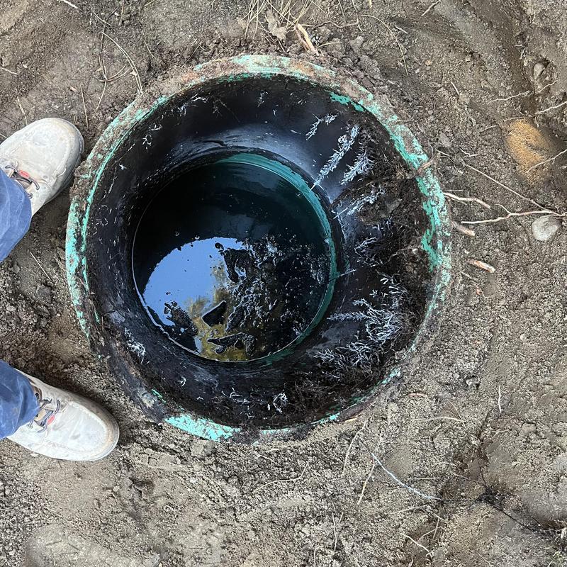 Septic tank interior with roots and water buildup