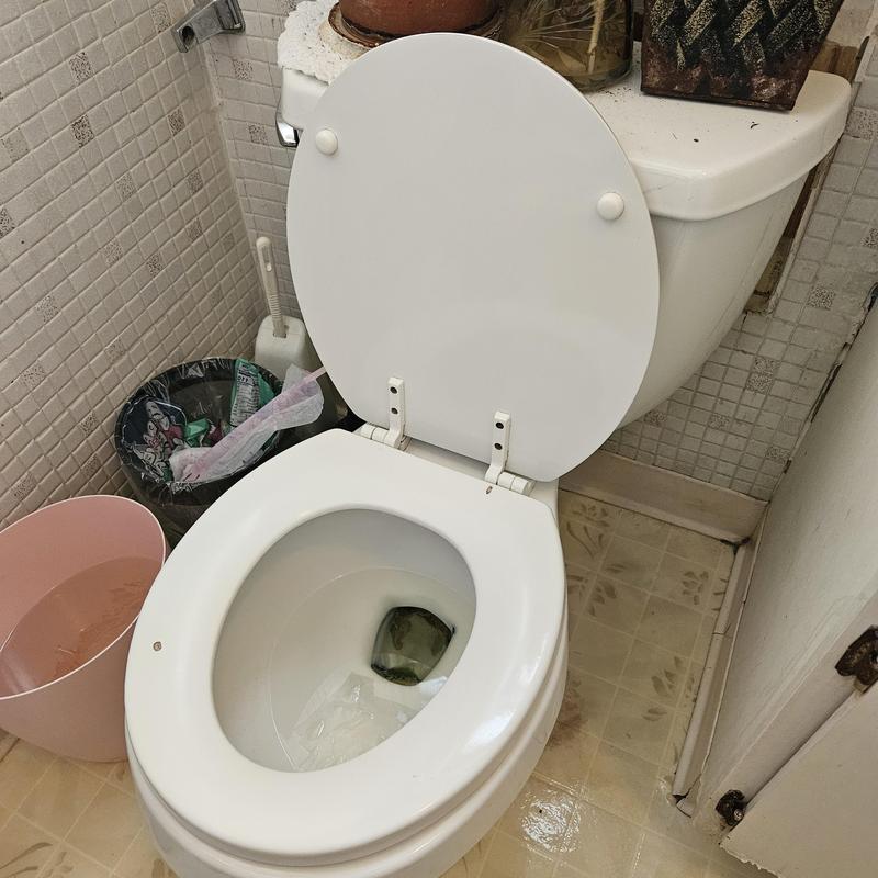 Toto round toilet with angle stop installation
