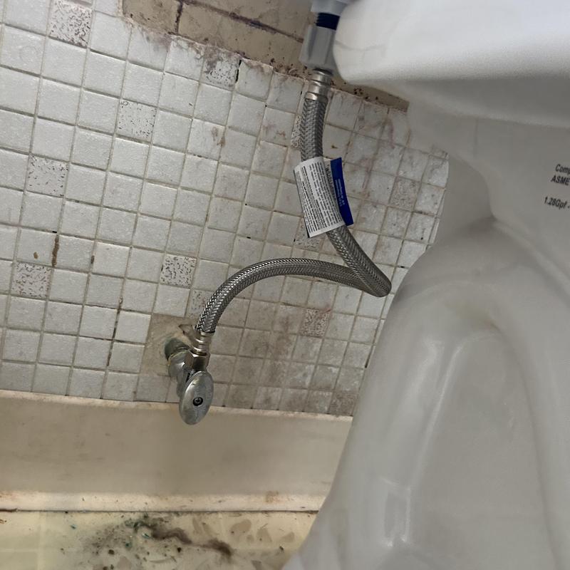 Toto toilet angle stop and braided supply line installation