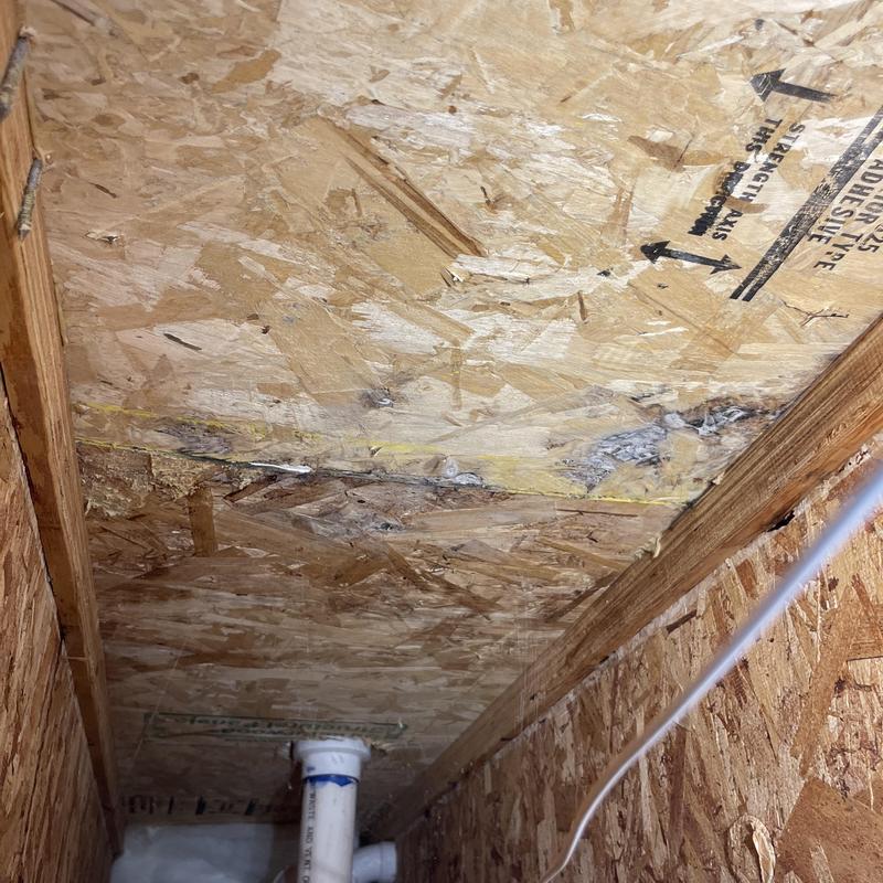 OSB ceiling with water damage and mold growth above pipe