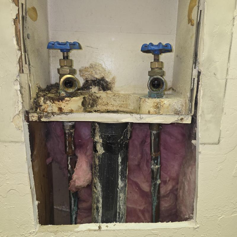 Washer valves with cut drywall and mold damage