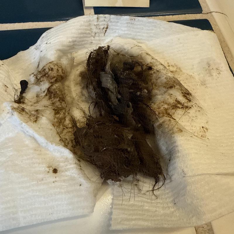 Kitchen drain blockage of hair and debris removed