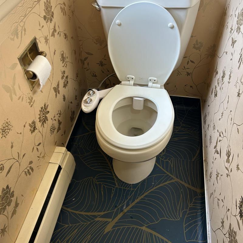 Toilet flange and drain line adjustment with bidet control