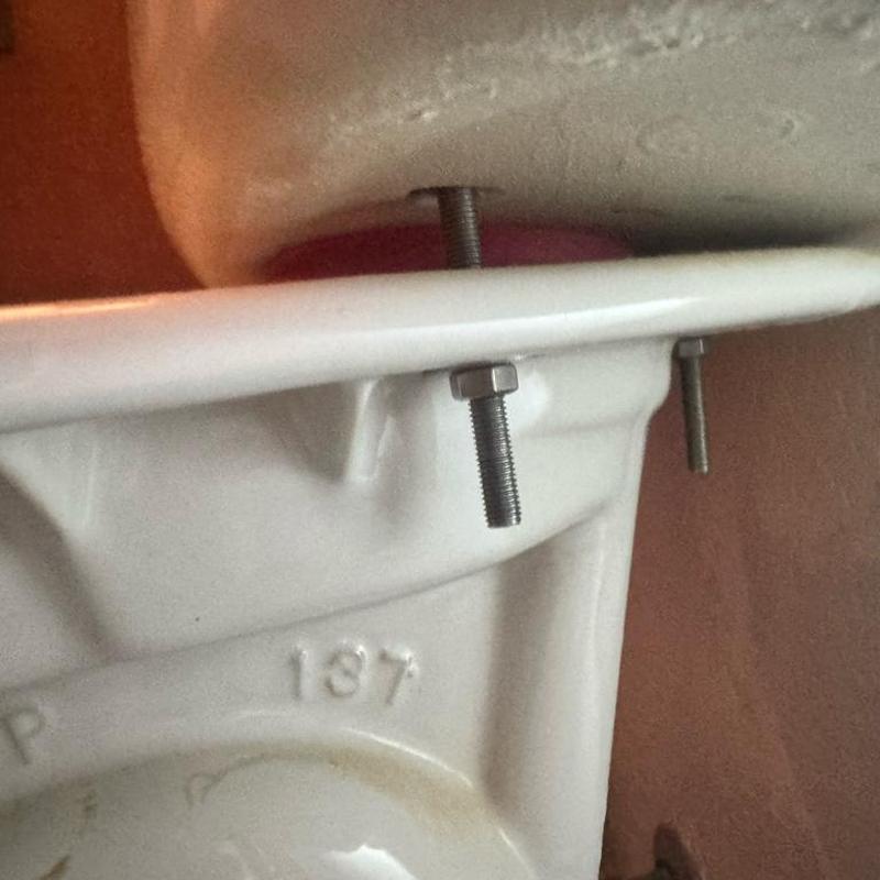 Toilet flange bolts and wax ring installation close-up