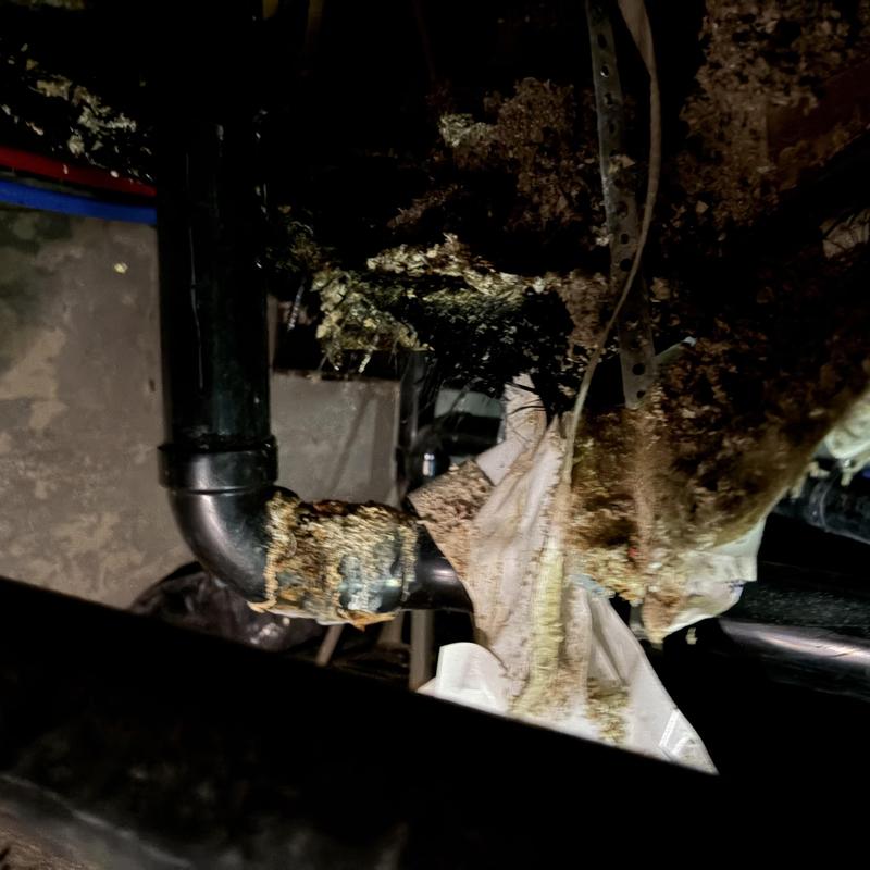 Tub faucet pipe with corrosion and insulation damage Tub faucet pipe with corrosion and insulation damage