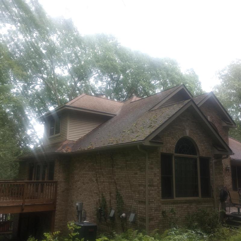 Asphalt shingle roof with moss buildup during inspection