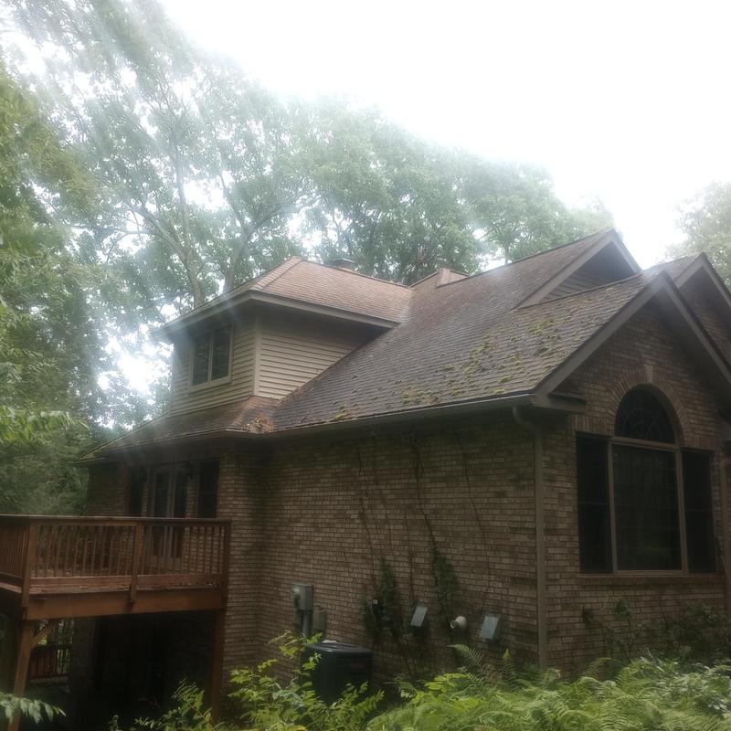 Asphalt shingle roof with moss during inspection in Stroudsburg