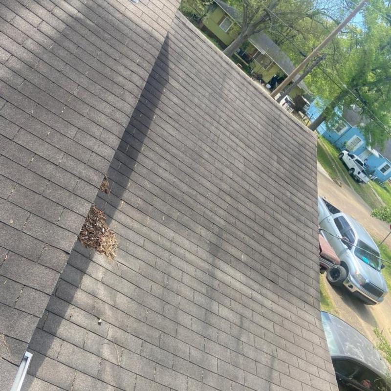 Asphalt shingle roof with debris pile during inspection