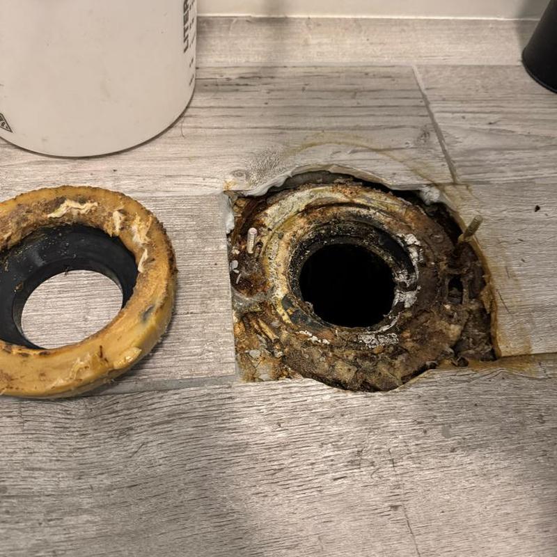 Toilet flange and wax ring removed on wood floor