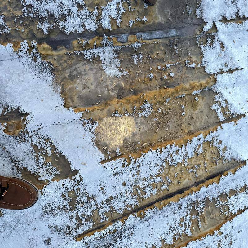 PBR metal roof with deteriorated coating and rust spots PBR metal roof with deteriorated coating and rust spots