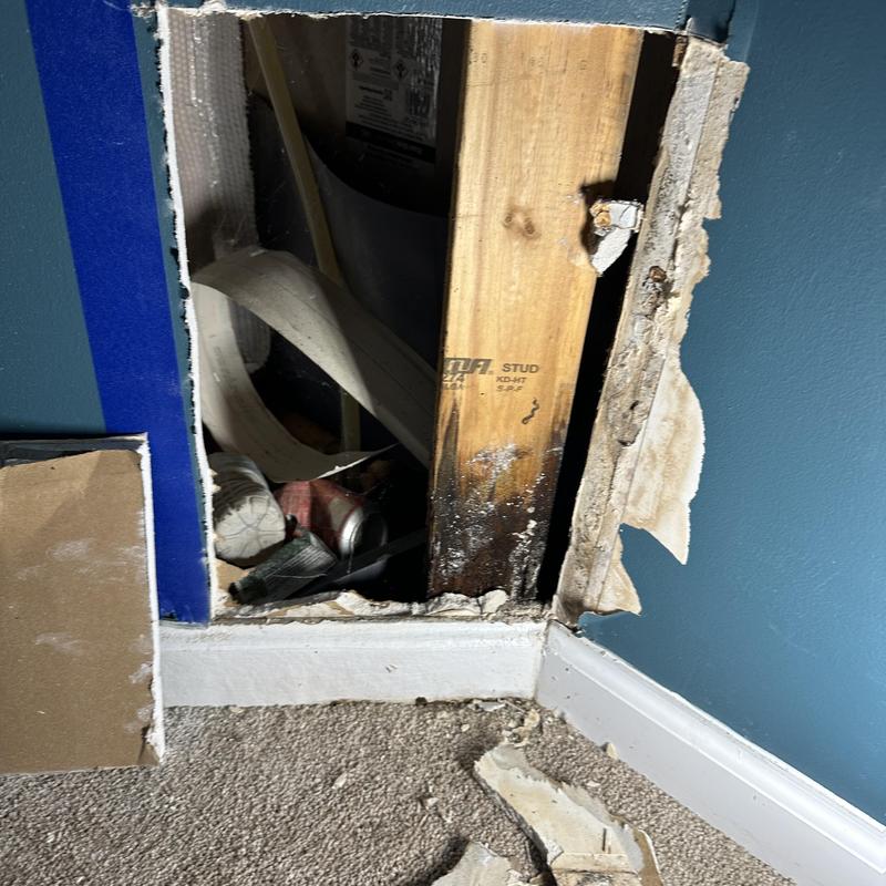 Shower valve water damage behind opened wall panel