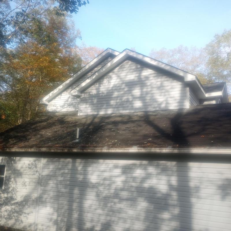 Roof shingles with moss and debris on residential house