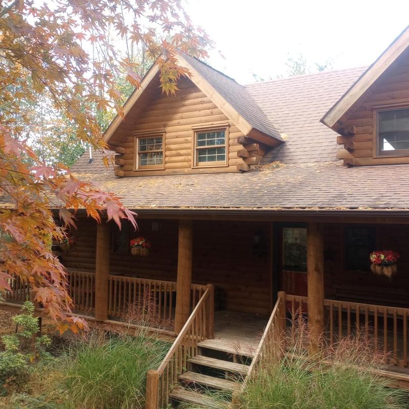 Asphalt shingle roof on log cabin with autumn foliage