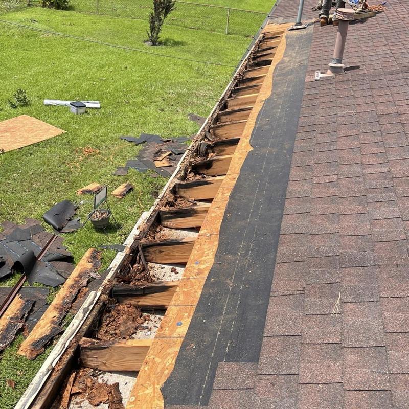 Roof decking and fascia rot repair with shingle removal