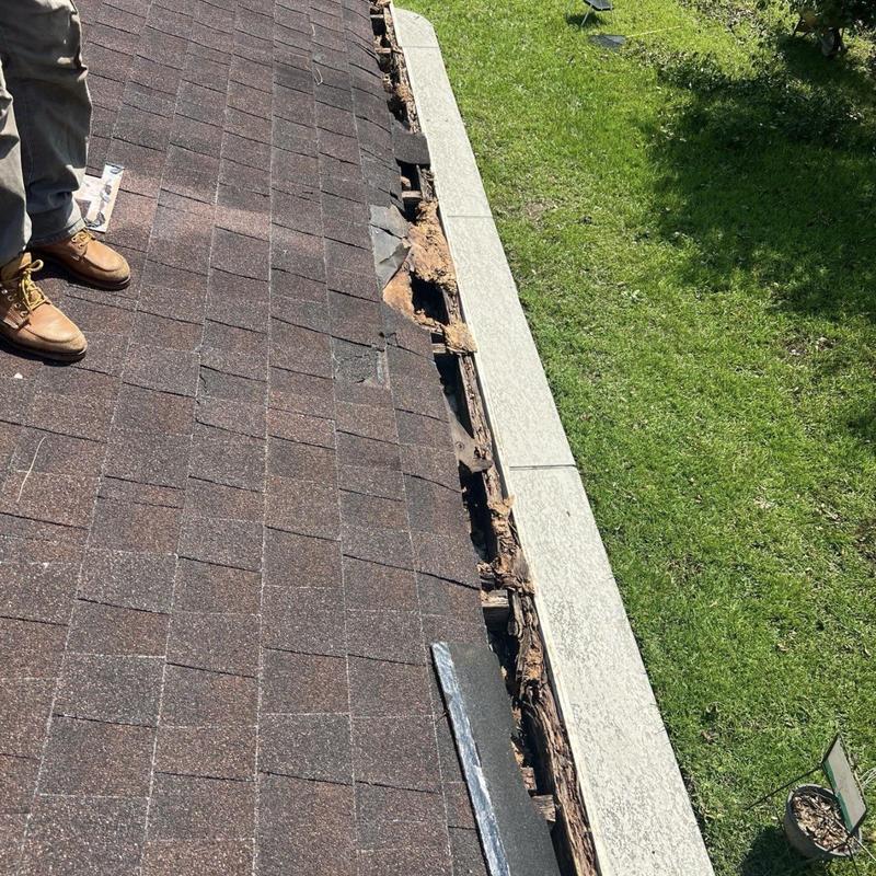 Fascia board and roof edge rot damage on shingle roof