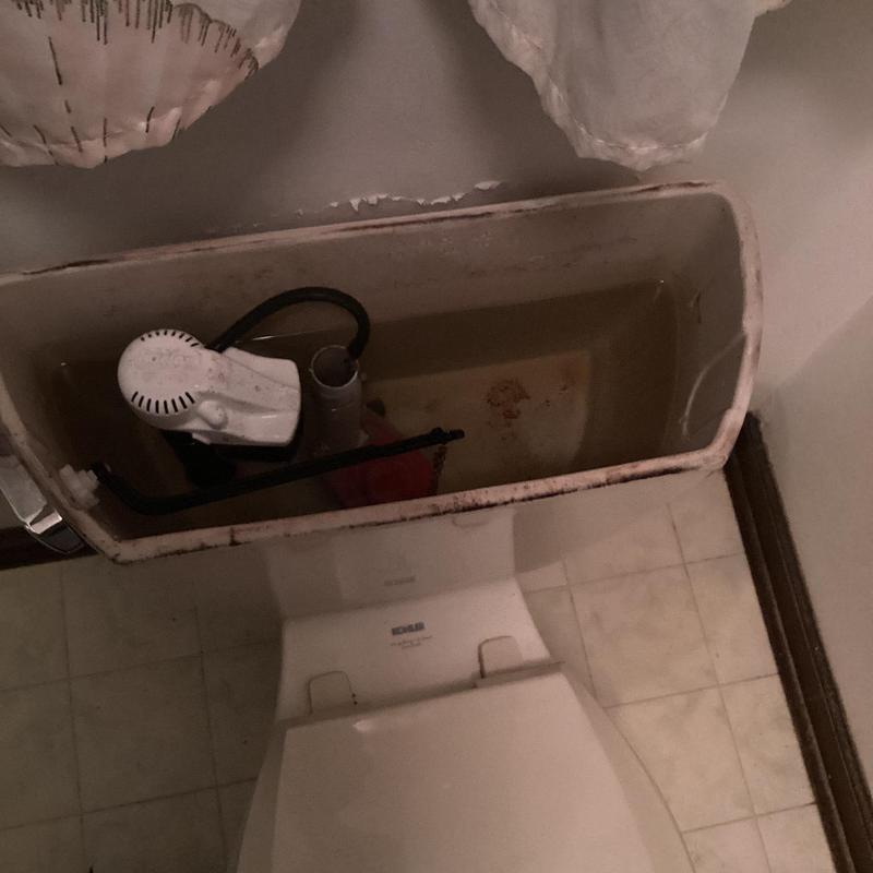 Toilet tank interior with flush valve and fill valve components