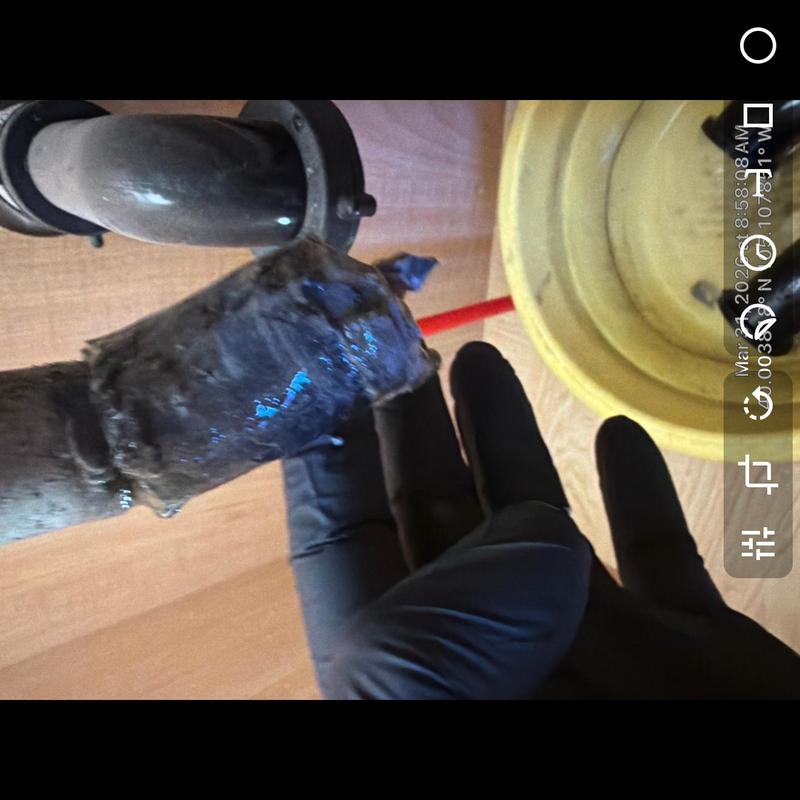 Drain pipe clog removal with gloved hand and plunger nearby