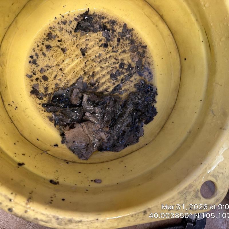 Plunger bucket with removed clog debris inside