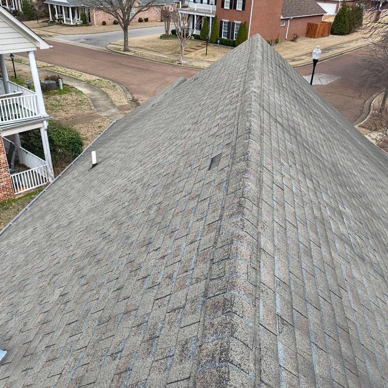 Estate Gray asphalt shingle roof replacement in Olive Branch