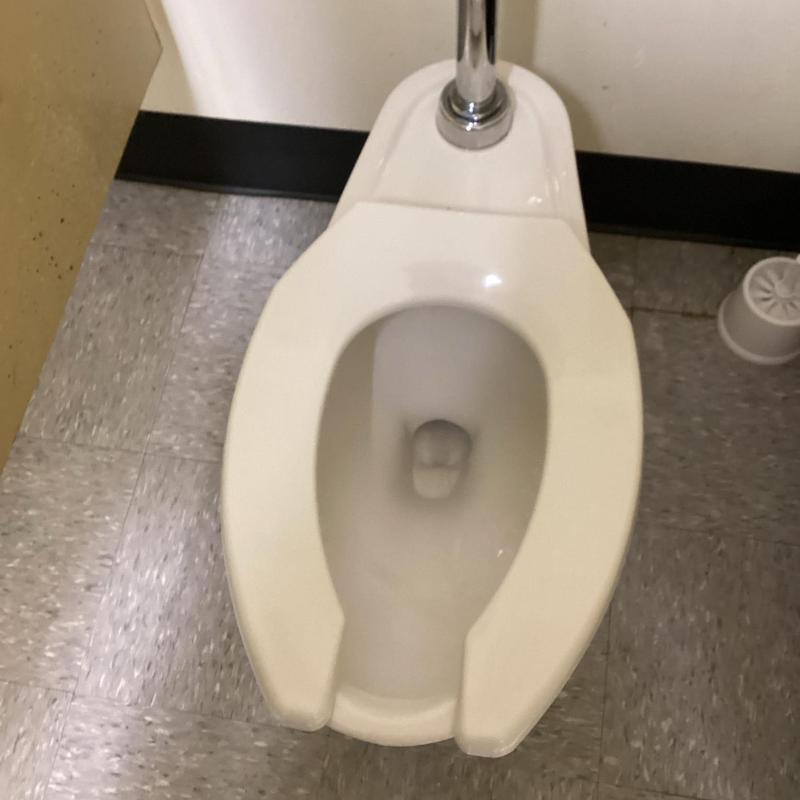 Toilet bowl and sewer line plumbing maintenance in restroom