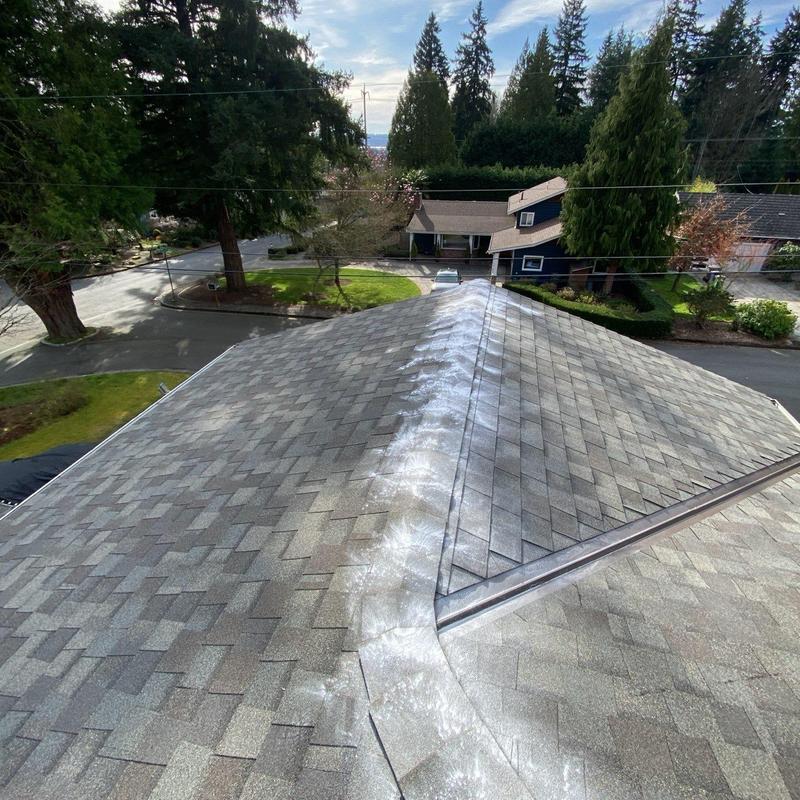 Asphalt shingle roof with moss treatment and cleaning