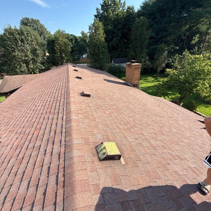 Asphalt shingle roof with ventilation and chimney