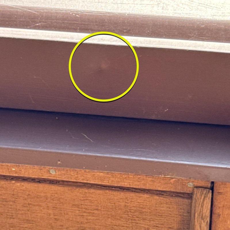 Soffit board rot damage marked by yellow circle