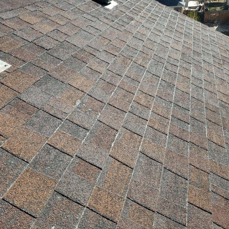Asphalt shingle roof with visible hail damage marks