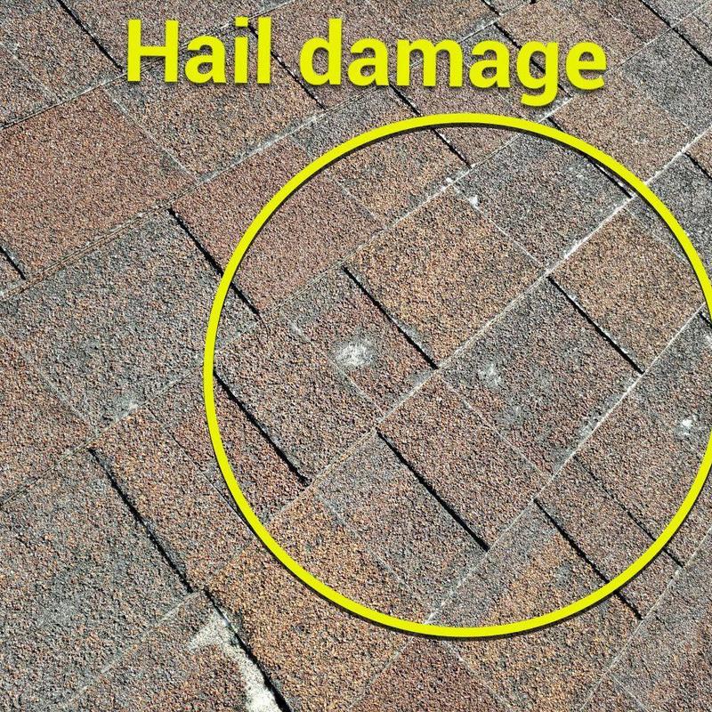 Asphalt shingle roof hail damage inspection