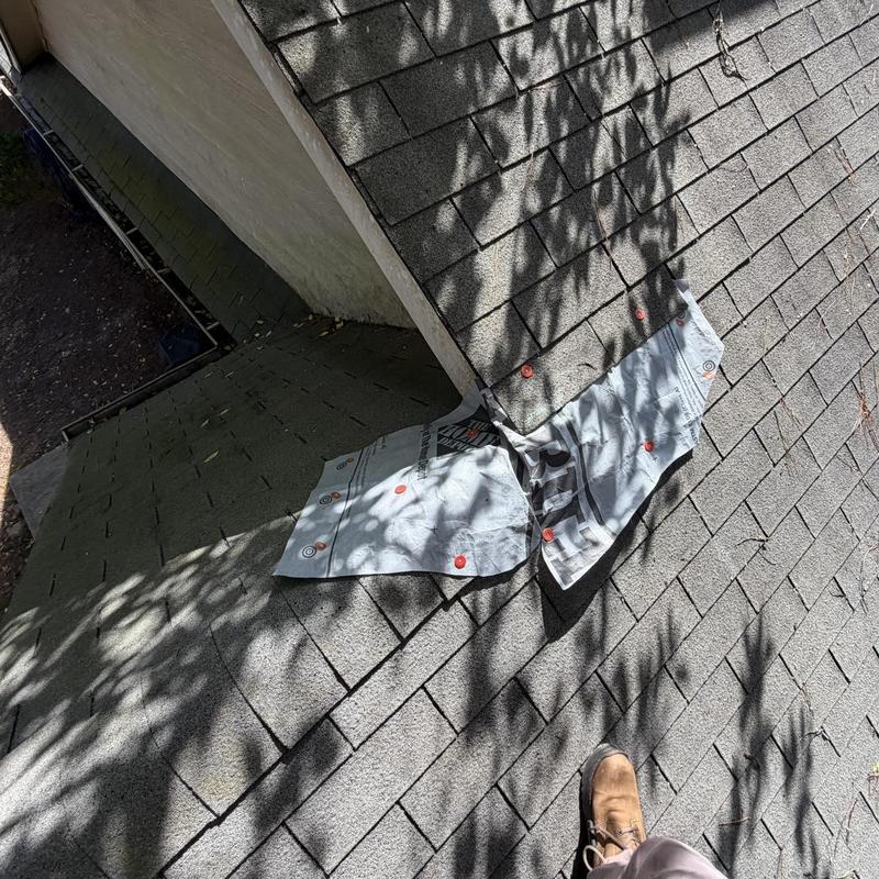 Roof shingles and ridge caps with protective underlayment