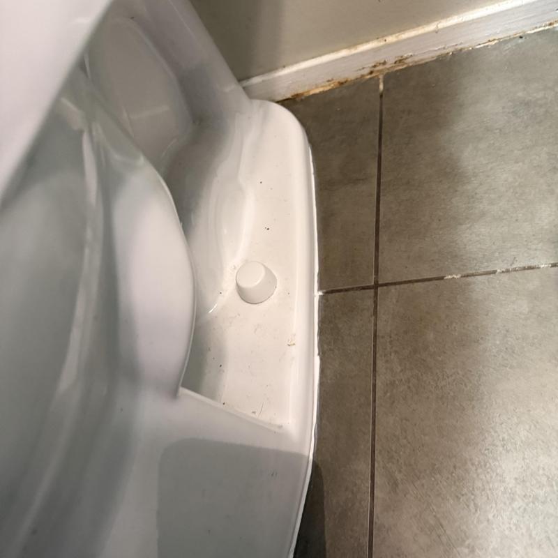 Toilet base with new wax ring and bolts installed