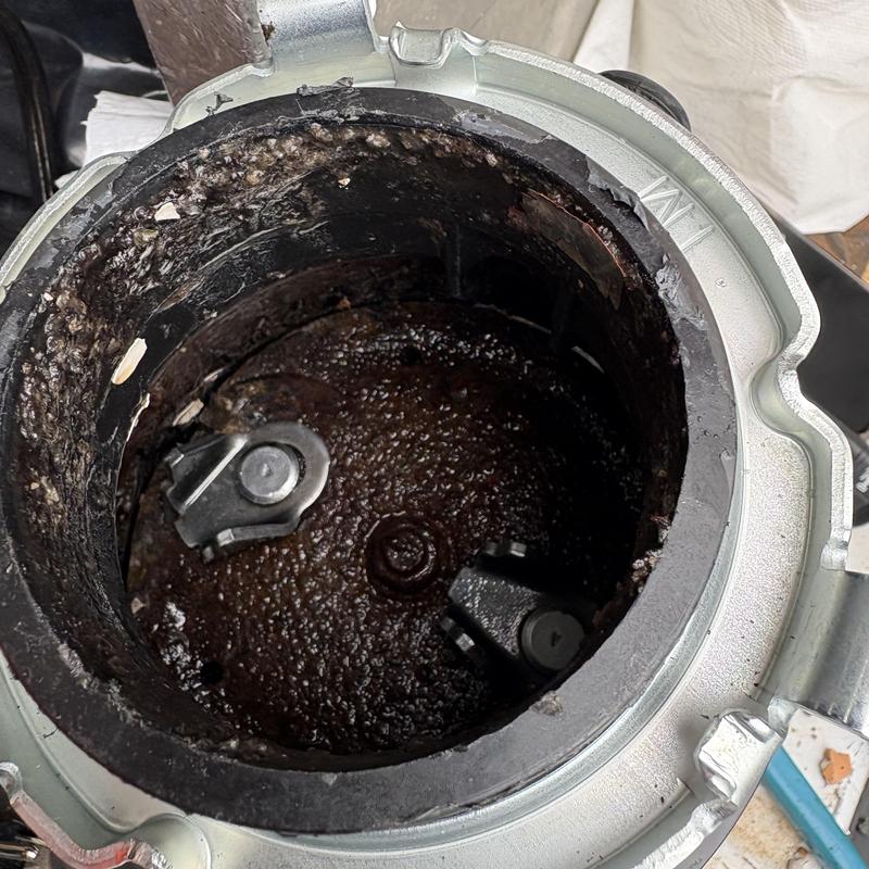 Garbage disposal interior with lodged debris removed