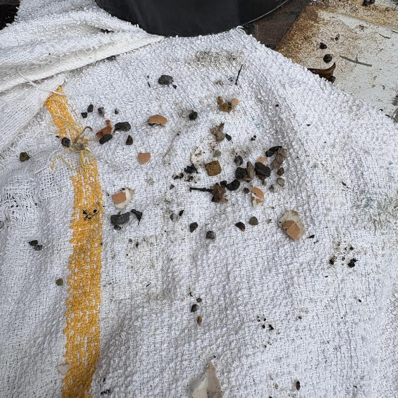 Garbage disposal debris removed from blades on towel