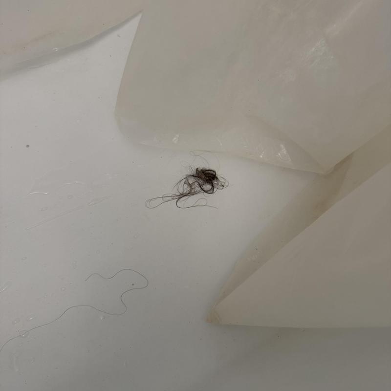 Bathtub drain clog with removed hair blockage