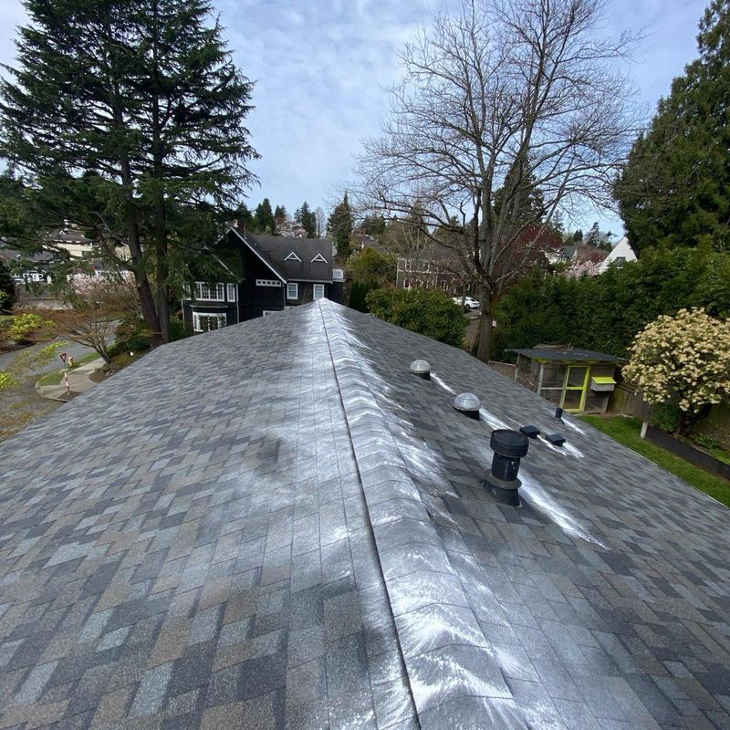 Asphalt shingle roof with moss treatment and cleaning