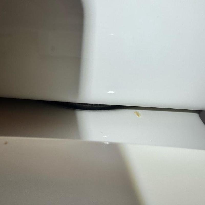 Toilet tank gasket gap with slight leak indicator Toilet tank gasket gap with slight leak indicator