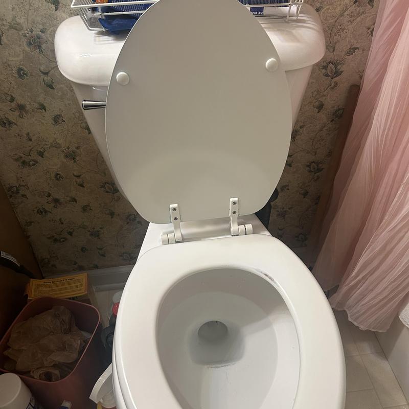 Toilet bowl with open lid in residential bathroom