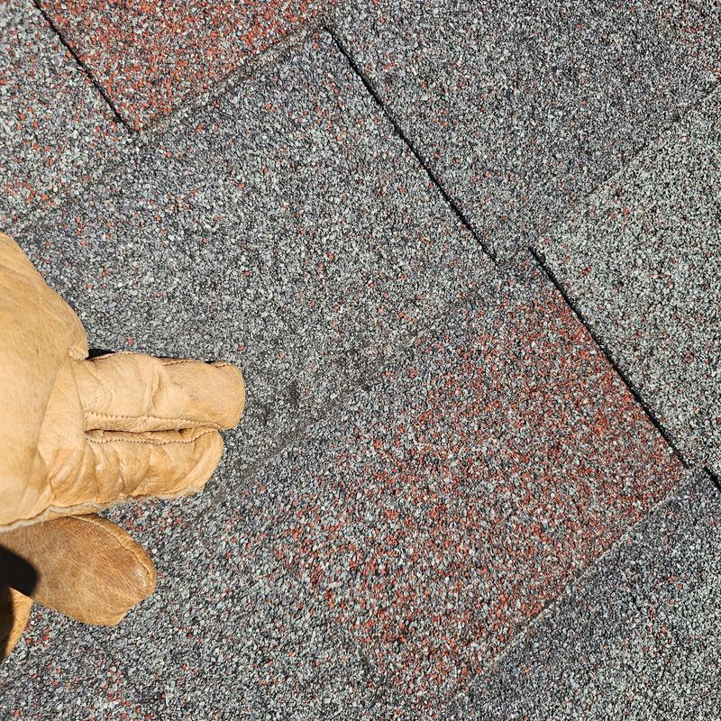 Asphalt roof shingles with hail impact damage