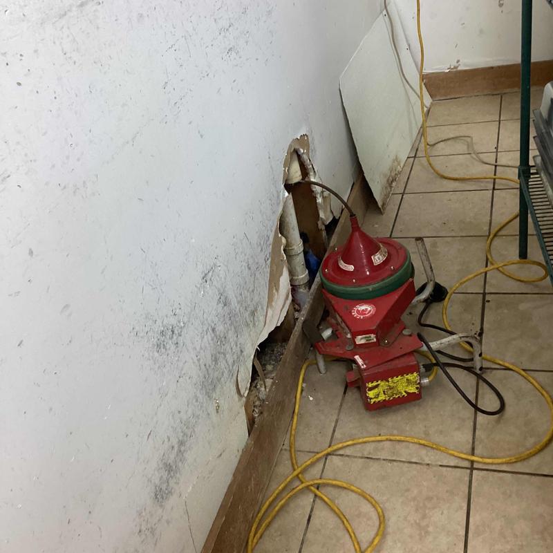 Grease line cable with wall access and plumbing auger