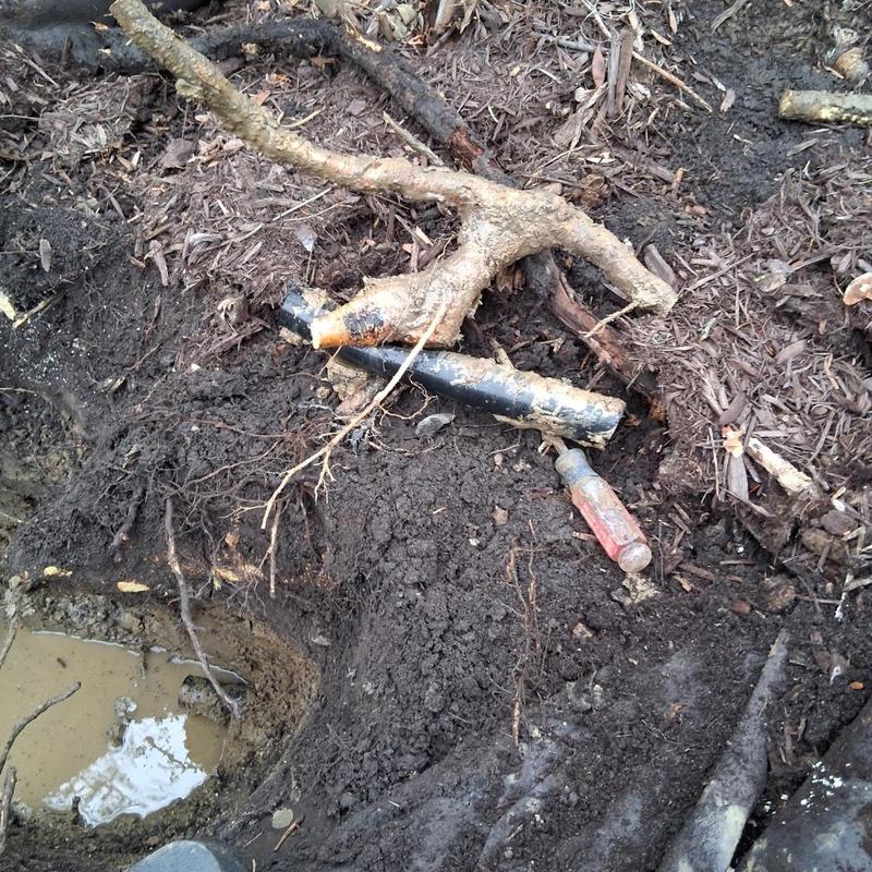 Main water line with root intrusion and soil excavation