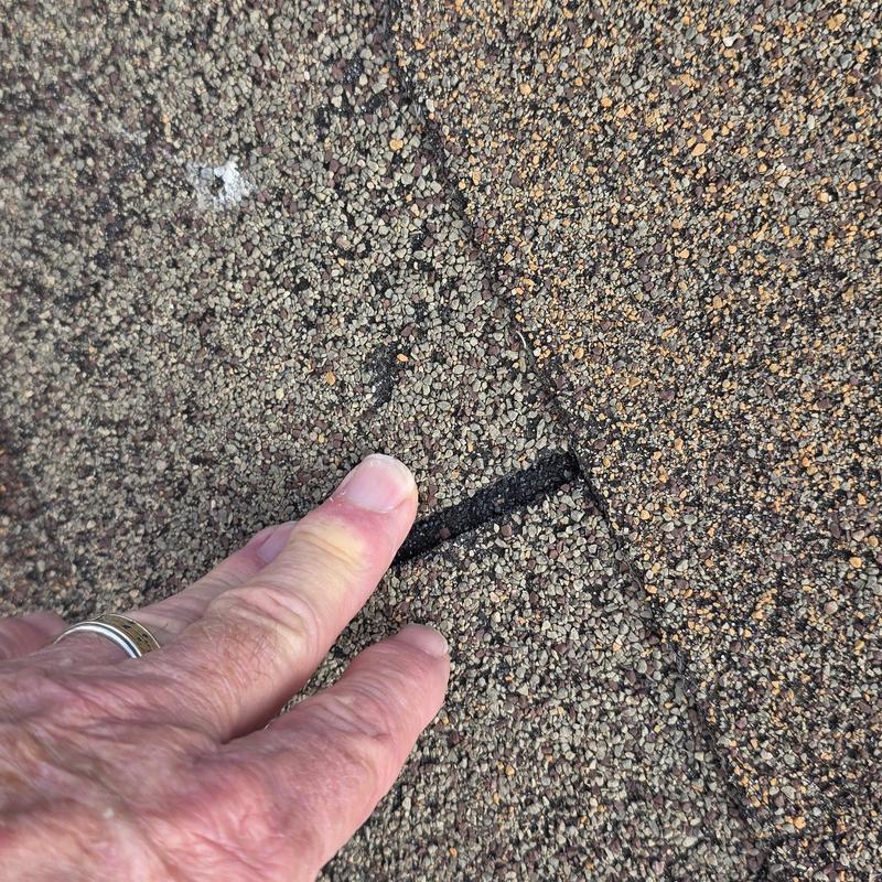 Asphalt shingle with hail damage and granule loss
