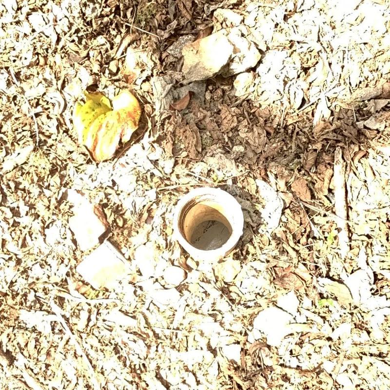 Main sewer line pipe exposed in ground with leaves