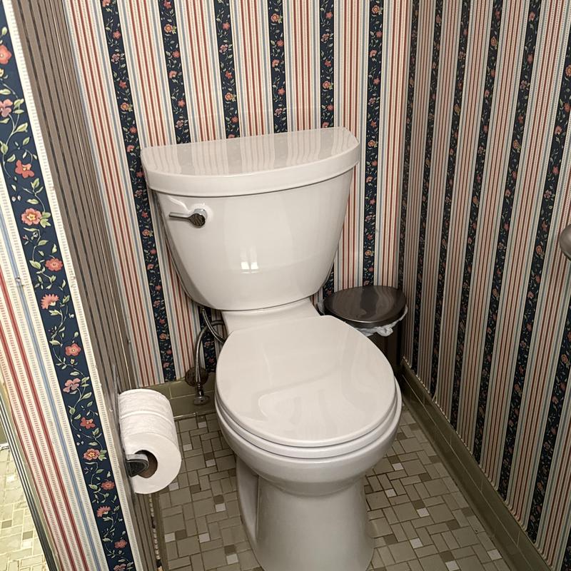 Kohler toilet installation in bathroom corner