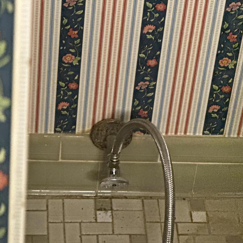 Showerhead with flexible metal hose and floral wallpaper