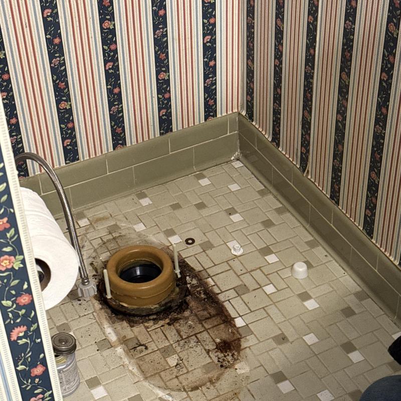 Toilet flange and floor seal with old residue