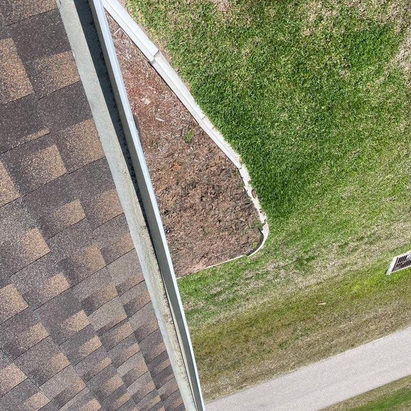 Shingle roof and gutter edge with debris buildup