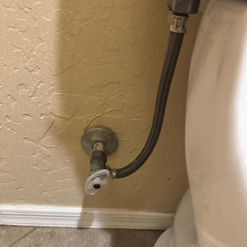 Toilet angle stop and supply line replacement in Queen Creek