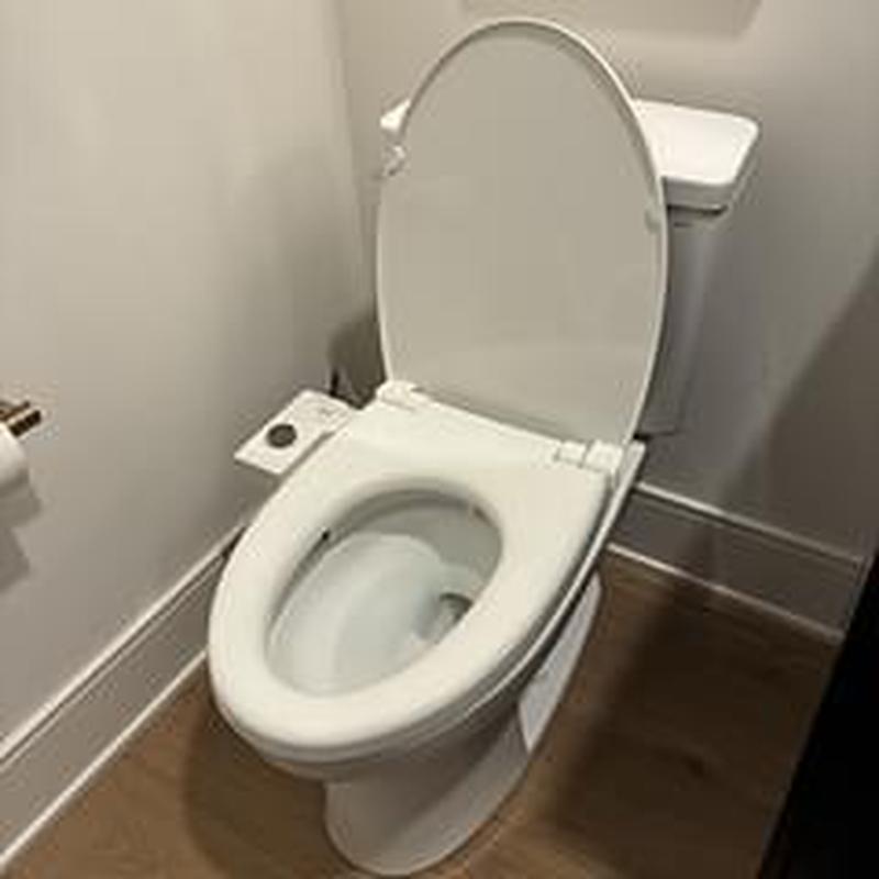 Toilet with new wax ring after main line drain clearing